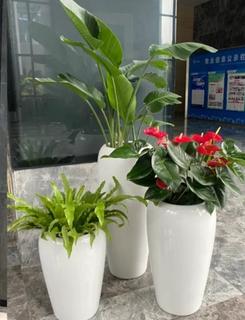 奉化花木租赁设备怎么修复？常见问题解决